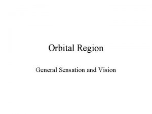 Orbital Region General Sensation and Vision General Sensation