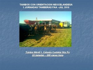 TAMBOS CON ORIENTACION NEOCELANDESA 1 JORNADAS TAMBERAS FAA