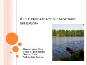 APELE CURGATOARE SI STATATOARE DIN EUROPA Ghinea Larisa