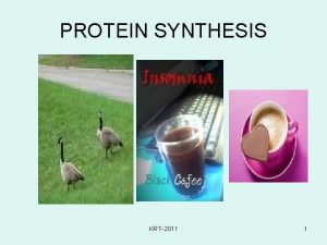 PROTEIN SYNTHESIS KRT2011 1 Protein Protein tersusun atas