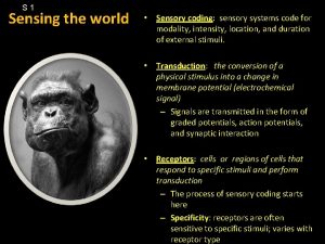 S 1 Sensing the world Sensory coding sensory