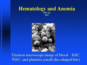 Hematology and Anemia FSN 432 2021 Electron microscope