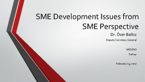 SME Development Issues from SME Perspective Dr zer