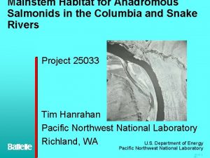 Mainstem Habitat for Anadromous Salmonids in the Columbia