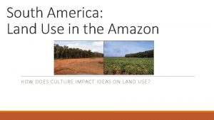 South America Land Use in the Amazon HOW