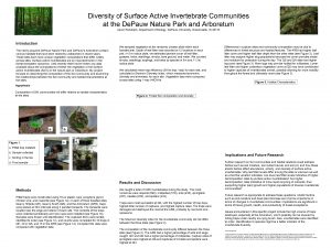 Diversity of Surface Active Invertebrate Communities at the