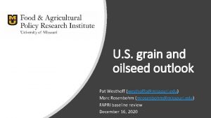 U S grain and oilseed outlook Pat Westhoff