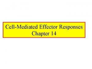 CellMediated Effector Responses Chapter 14 Cell Mediated Immune