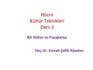 Hcre Kltr Teknikleri Ders 3 Alt Kltr ve