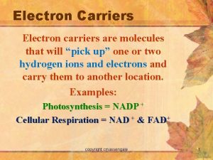 Electron Carriers Electron carriers are molecules that will
