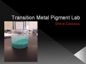 Transition Metal Pigment Lab Shera Casseus Purpose of