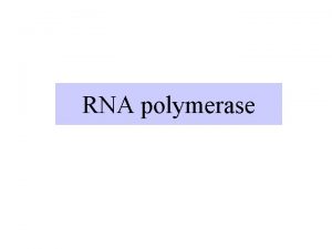 RNA polymerase Pathway for Gene Expression Reaction catalyzed