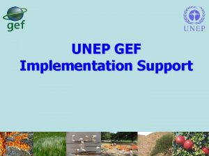 UNEP GEF Implementation Support UNEPs Role in GEF