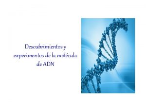 Descubrimientos y experimentos de la molcula de ADN