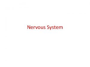 Nervous System Brain Major Parts of the Brain