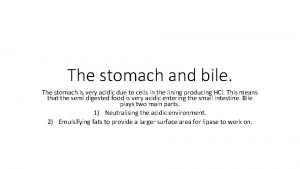 The stomach and bile The stomach is very