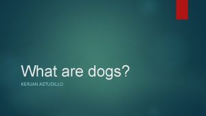 What are dogs KERJAN ASTUDILLO Dogs Mans best