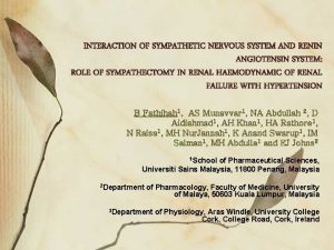 INTERACTION OF SYMPATHETIC NERVOUS SYSTEM AND RENIN ANGIOTENSIN