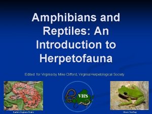 Amphibians and Reptiles An Introduction to Herpetofauna Edited