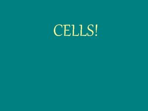 CELLS CELLS APK What are cells Where are