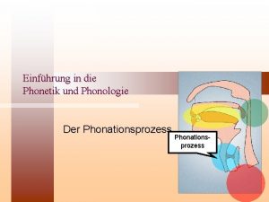 Einfhrung in die Phonetik und Phonologie Der Phonationsprozess