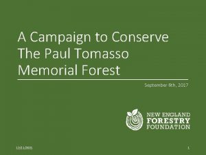 A Campaign to Conserve The Paul Tomasso Memorial