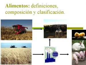 Alimentos definiciones composicin y clasificacin Definiciones Nutricin alimento