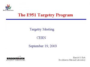 The E 951 Targetry Program Targetry Meeting CERN