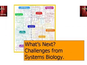 Whats Next Challenges from Systems Biology Bud Mishra