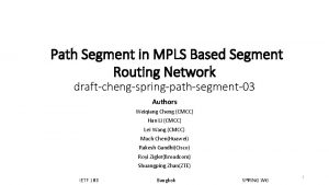 Path Segment in MPLS Based Segment Routing Network