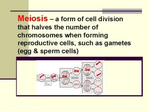 Meiosis a form of cell division that halves