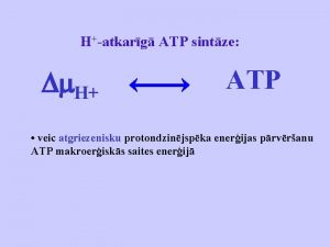 Hatkarg ATP sintze H ATP veic atgriezenisku protondzinjspka