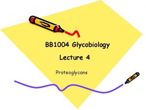 BB 1004 Glycobiology Lecture 4 Proteoglycans Aims To