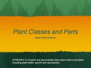 Plant Classes and Parts Basic Plant Science AFNRBAS13