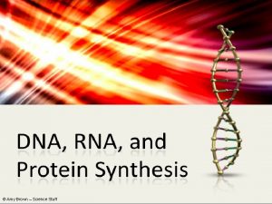 Amy Brown Science Stuff The Chemistry of Heredity