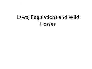 Laws Regulations and Wild Horses The New Economist