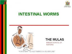INTESTINAL WORMS THE MULAS MANSA SCHOOL OF NURSING