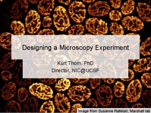 Designing a Microscopy Experiment Kurt Thorn Ph D