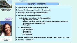 Espao Microbiologia ICBUSP GENTICA BACTERIANA 1 Introduo A