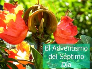 El Adventismo del Sptimo Da n n Contenido