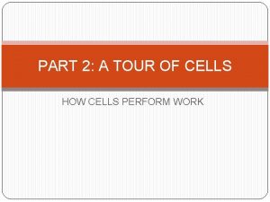 PART 2 A TOUR OF CELLS HOW CELLS