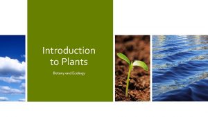 Introduction to Plants Botany and Ecology Warm Up