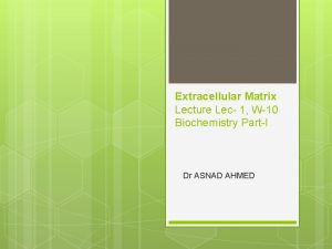 Extracellular Matrix Lecture Lec 1 W10 Biochemistry PartI