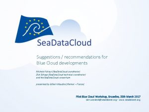 Suggestions recommendations for Blue Cloud developments Michele Fichaut
