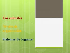 Los animales Niveles de organizacin Sistemas de rganos