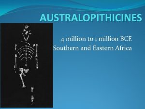 AUSTRALOPITHICINES 4 million to 1 million BCE Southern