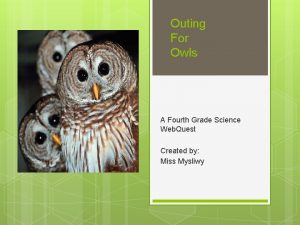 Outing For Owls A Fourth Grade Science Web