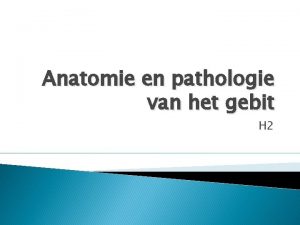 Anatomie en pathologie van het gebit H 2