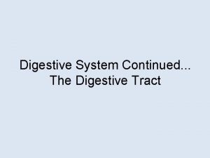 Digestive System Continued The Digestive Tract Remember Our