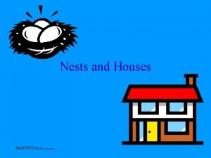Nests and Houses Copyright 2007 IRANCTE All rights